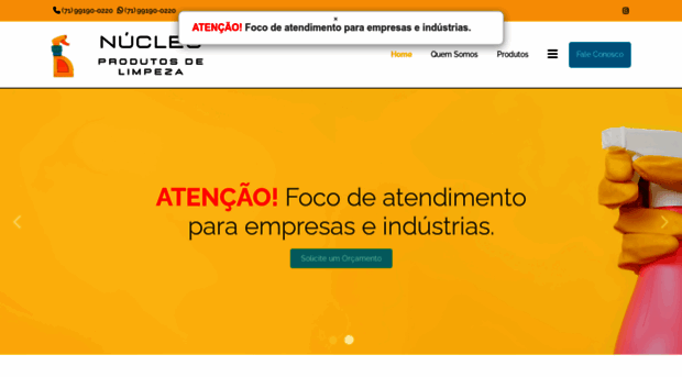 nucleolimpeza.com.br