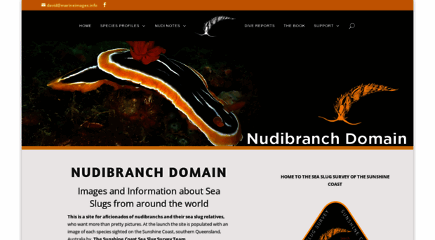 nudibranchdomain.org