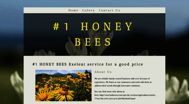 numberonehoneybees.yolasite.com