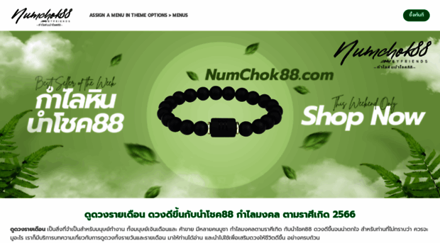 numchok88.com