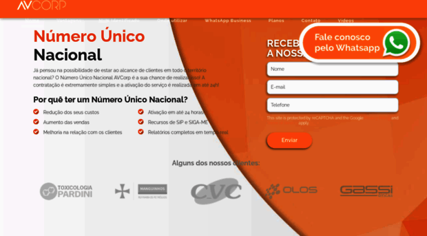 numerounico.com.br