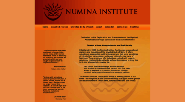 numinainstitute.com