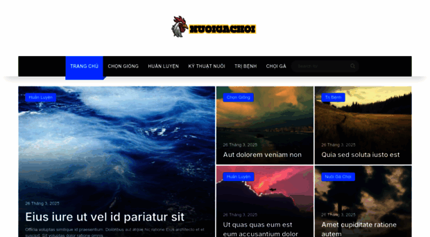 nuoigachoi.org