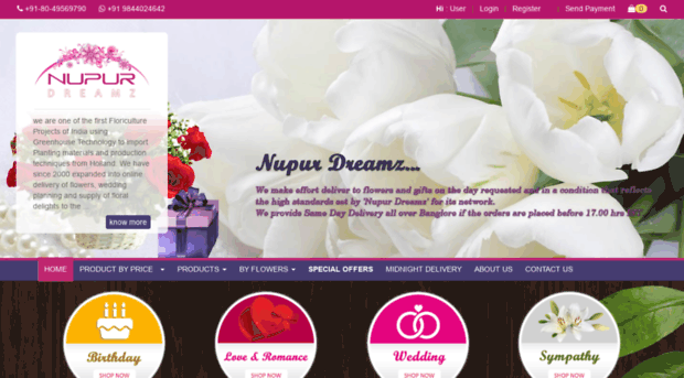 nupurdreamz.com