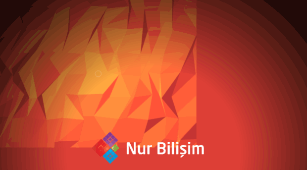 nurbilisim.com.tr
