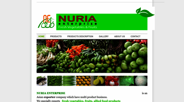 nuriaenterprise.weebly.com