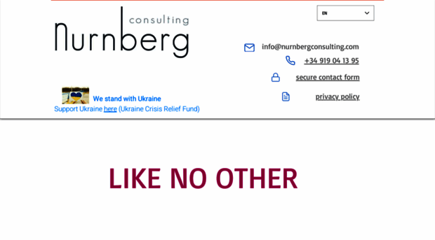 nurnbergconsulting.com