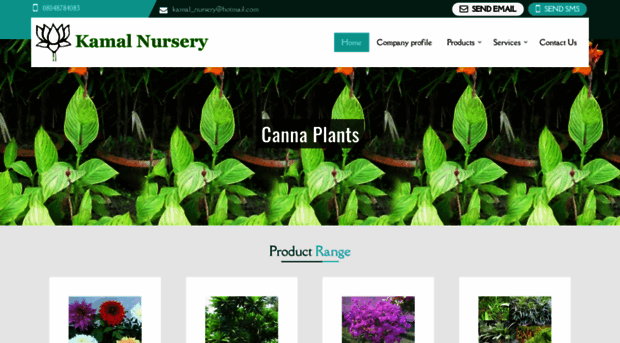 nurseryplants.in