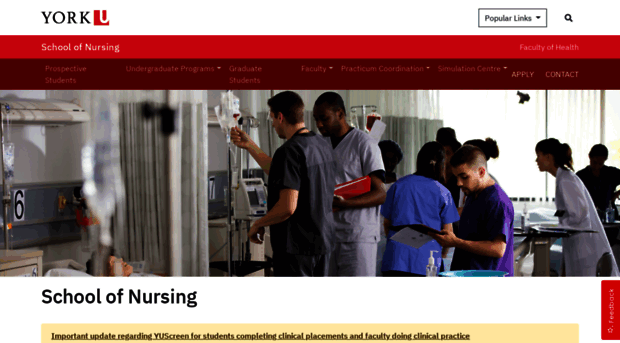 nursing.info.yorku.ca