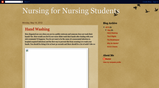 nursingfornursingstudents.blogspot.com