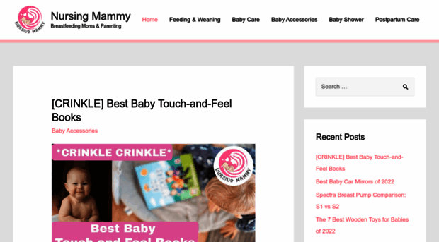 nursingmammy.com