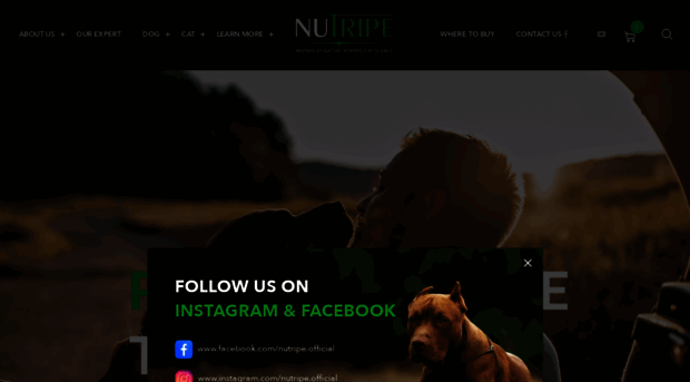 nutripe.com