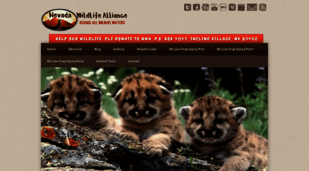 nvwildlifealliance.org