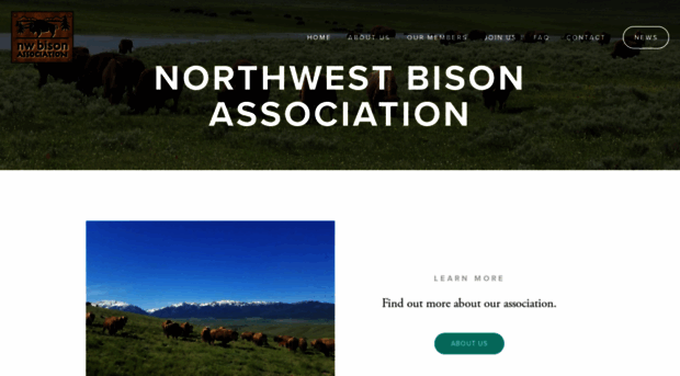 nwbisonassociation.com