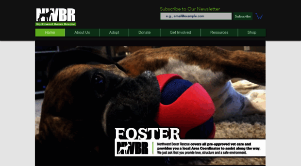 nwboxerrescue.org