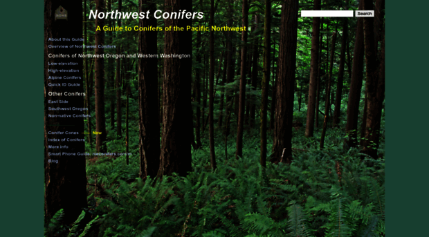 nwconifers.com