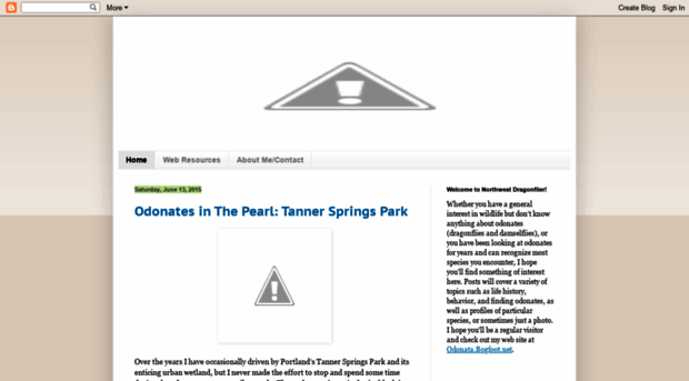 nwdragonflier.blogspot.com