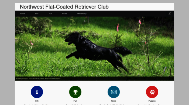 nwflatcoat.org