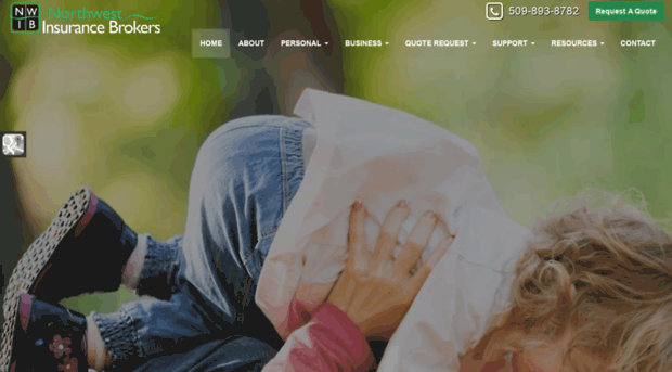 nwinsurancebrokers.com