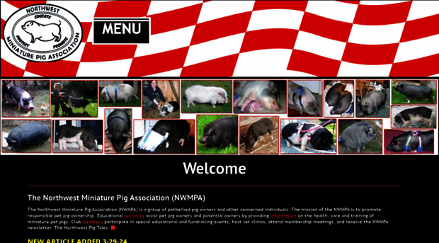 nwpetpigs.org