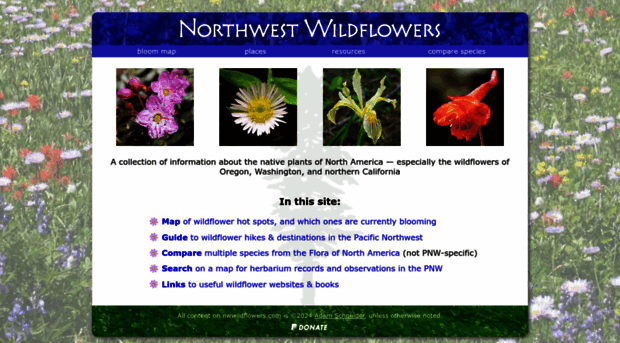 nwwildflowers.com
