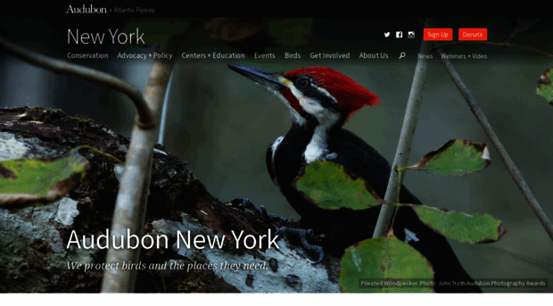 ny.audubon.org