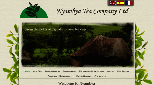 nyambyatea.com