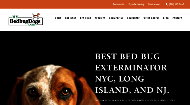 nybedbugdogs.com