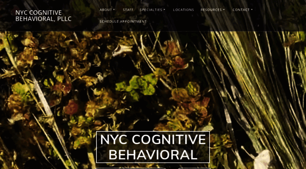 nyccbttherapy.com