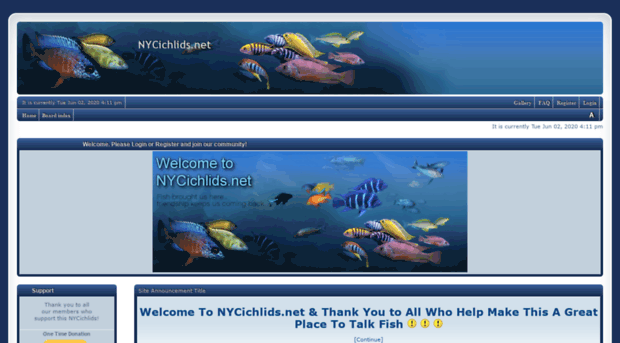 nycichlids.net