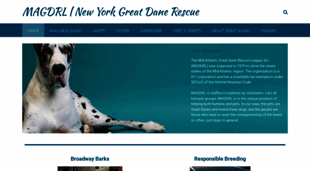 nydanerescue.com