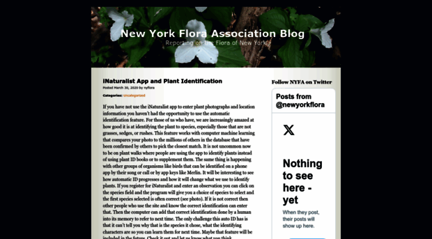 nyfablog.org