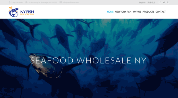 nyfishinc.com