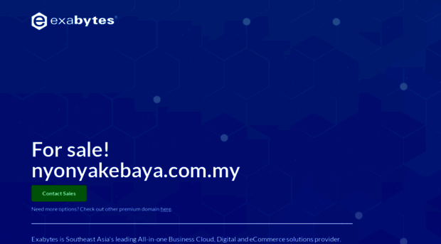nyonyakebaya.com.my