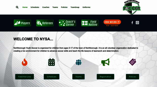 nysa.net