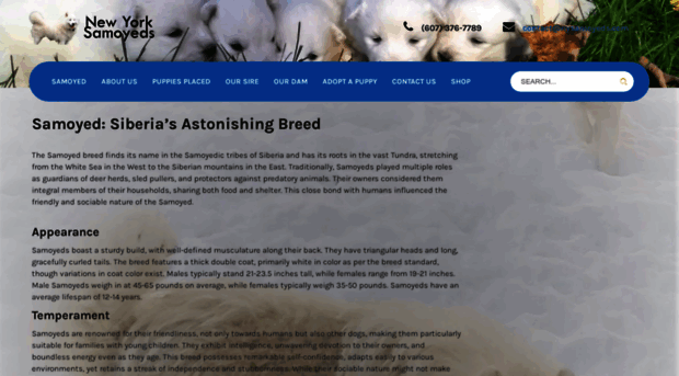 nysamoyeds.com
