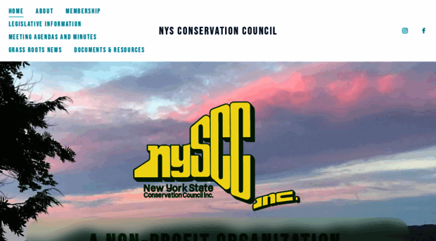 nyscc.com