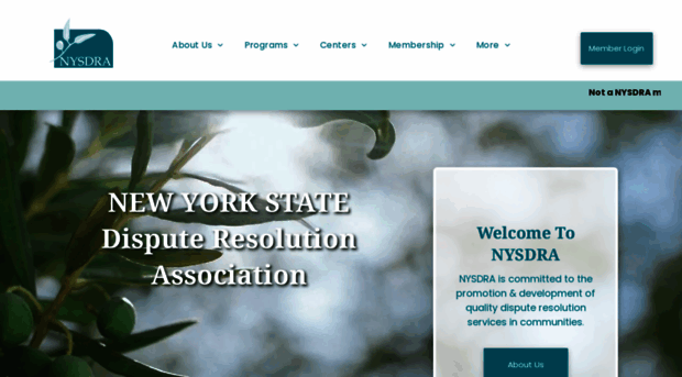 nysdra.org