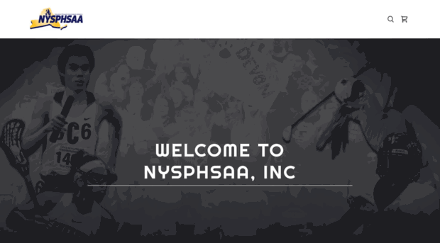 nysphsaasales.com