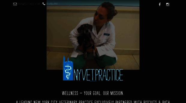 nyvetpractice.com