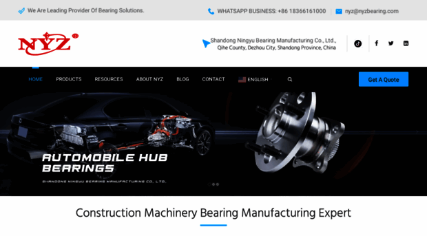 nyzbearing.com