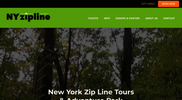 nyzipline.com