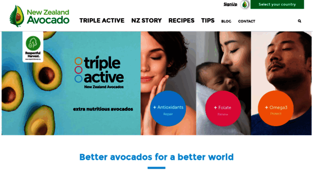 nzavocado.com