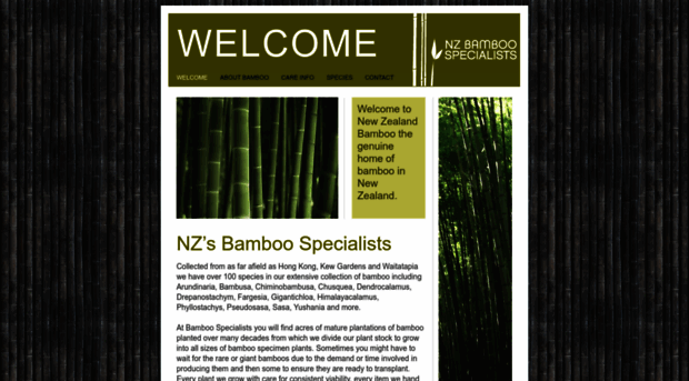 nzbamboo.com