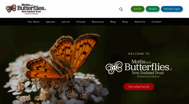 nzbutterflies.org.nz