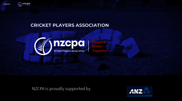 nzcpa.co.nz