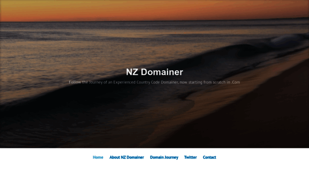 nzdomainer.com