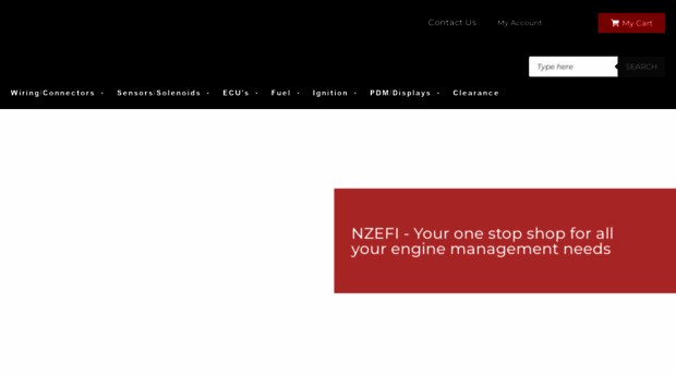 nzefi.com