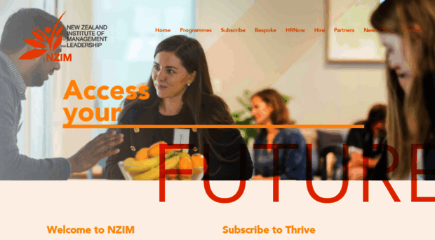 nzimleadership.co.nz