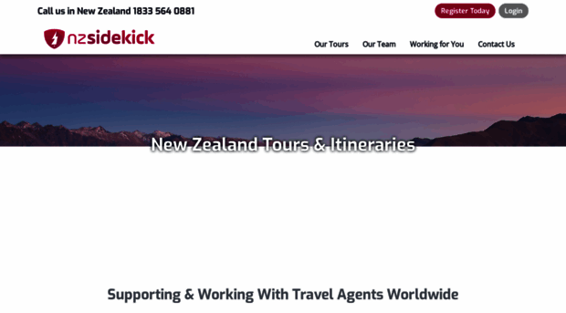 nzsidekick.com